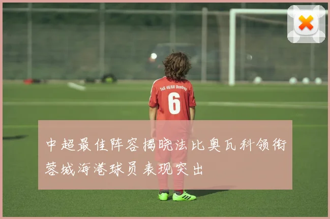 中超最佳阵容揭晓法比奥瓦科领衔蓉城海港球员表现突出