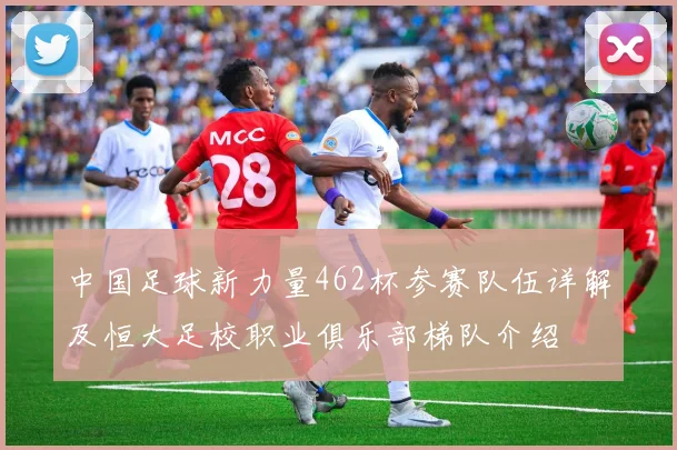中国足球新力量462杯参赛队伍详解及恒大足校职业俱乐部梯队介绍