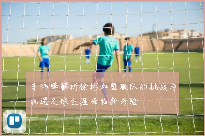 李玮锋解析徐彬加盟狼队的挑战与机遇足球生涯面临新考验