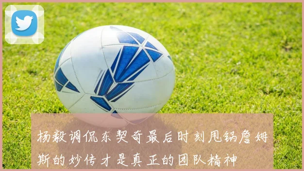杨毅调侃东契奇最后时刻甩锅詹姆斯的妙传才是真正的团队精神