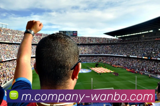 多媒体互动体验