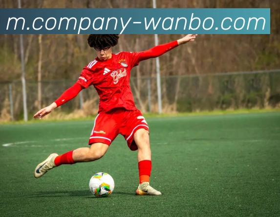 万博体育APP 高清赛事图